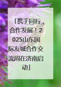 携手同行，合作发展！2025山东国际友城合作交流周在济南启动