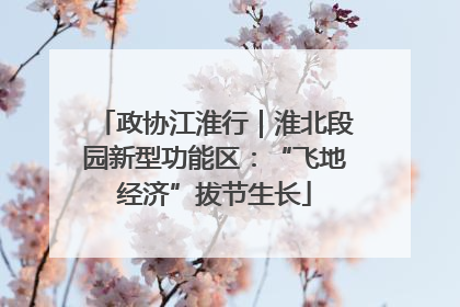 政协江淮行｜淮北段园新型功能区：“飞地经济”拔节生长