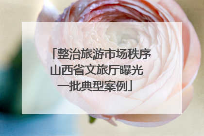 整治旅游市场秩序 山西省文旅厅曝光一批典型案例