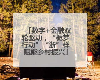 数字+金融双轮驱动，“栀梦行动”“浙”样赋能乡村振兴
