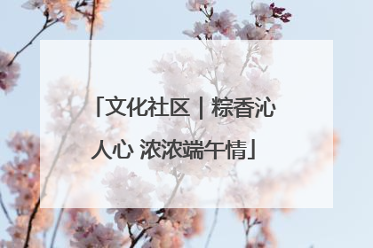 文化社区｜粽香沁人心 浓浓端午情