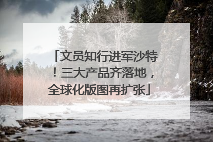 文员知行进军沙特！三大产品齐落地，全球化版图再扩张