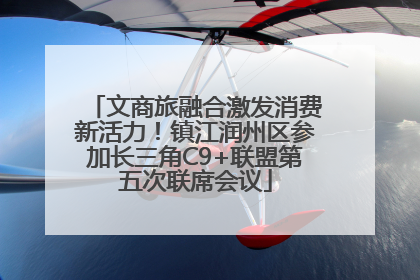 文商旅融合激发消费新活力！镇江润州区参加长三角C9+联盟第五次联席会议