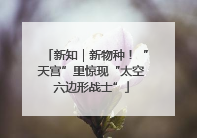 新知｜新物种！“天宫”里惊现“太空六边形战士”