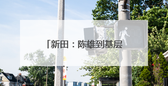 新田：陈雄到基层调研指导“十五五”规划编制与城乡品质大提升工作