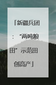 新疆兵团：“两吨粮田”示范田创高产