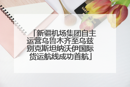 新疆机场集团自主运营乌鲁木齐至乌兹别克斯坦纳沃伊国际货运航线成功首航
