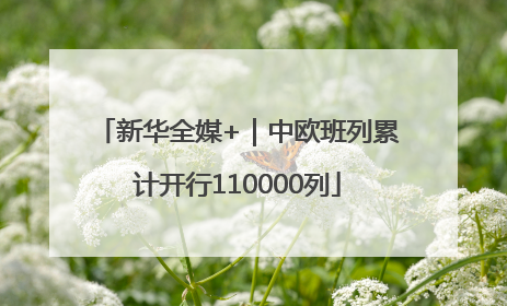 新华全媒+｜中欧班列累计开行110000列