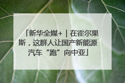 新华全媒+｜在霍尔果斯，这群人让国产新能源汽车“跑”向中亚