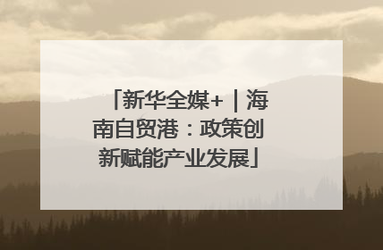 新华全媒+｜海南自贸港：政策创新赋能产业发展