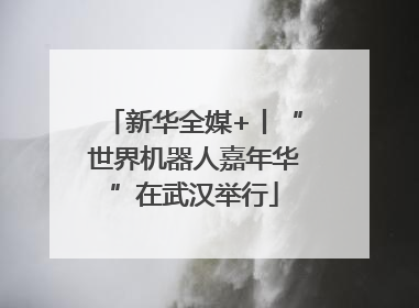新华全媒+丨“世界机器人嘉年华”在武汉举行