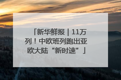 新华鲜报｜11万列！中欧班列跑出亚欧大陆“新时速”