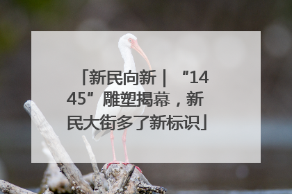 新民向新｜“1445”雕塑揭幕，新民大街多了新标识