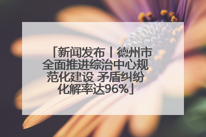 新闻发布丨德州市全面推进综治中心规范化建设 矛盾纠纷化解率达96%