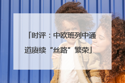 时评：中欧班列中通道赓续“丝路”繁荣