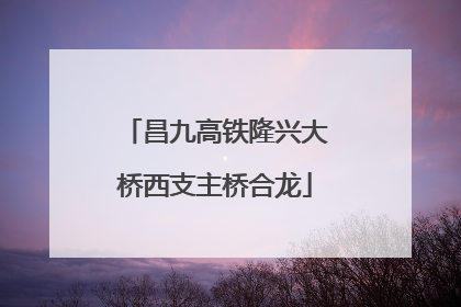昌九高铁隆兴大桥西支主桥合龙