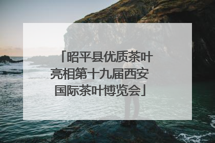 昭平县优质茶叶亮相第十九届西安国际茶叶博览会
