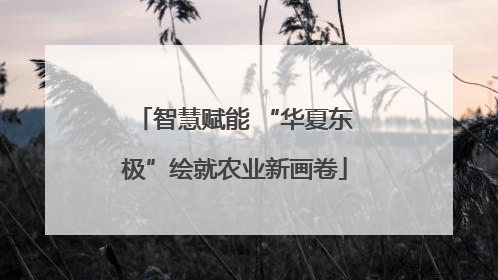 智慧赋能 “华夏东极”绘就农业新画卷