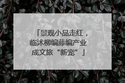 景观小品走红，临沭柳编藤编产业成文旅“新宠”