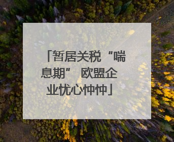 暂居关税“喘息期” 欧盟企业忧心忡忡