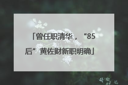 曾任职清华，“85后”黄佐财新职明确