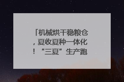 机械烘干稳粮仓，夏收夏种一体化！“三夏”生产跑出加速度｜麦报