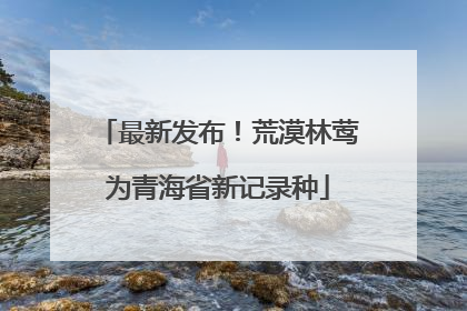 最新发布！荒漠林莺为青海省新记录种