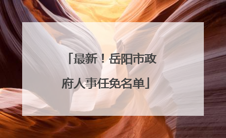 最新！岳阳市政府人事任免名单