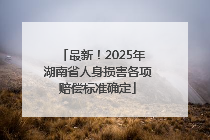 最新！2025年湖南省人身损害各项赔偿标准确定