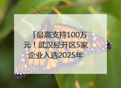 最高支持100万元！武汉经开区5家企业入选2025年度武汉市重点研发计划拟立项项目名单