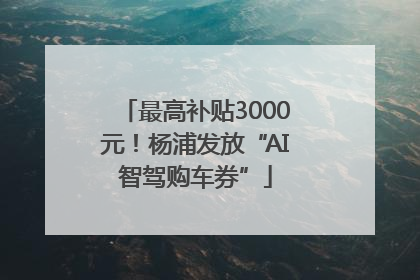 最高补贴3000元！杨浦发放“AI智驾购车券”