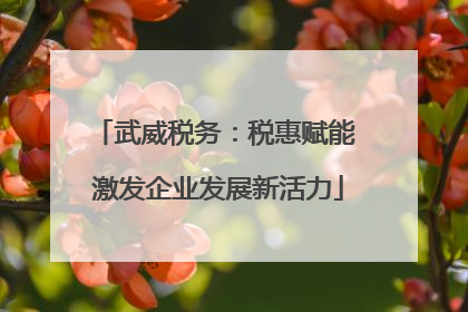武威税务：税惠赋能 激发企业发展新活力