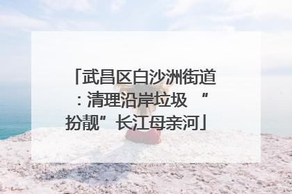 武昌区白沙洲街道：清理沿岸垃圾 “扮靓”长江母亲河