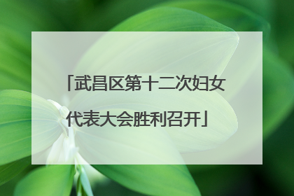 武昌区第十二次妇女代表大会胜利召开