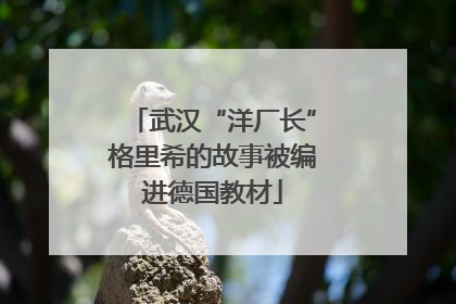 武汉“洋厂长”格里希的故事被编进德国教材