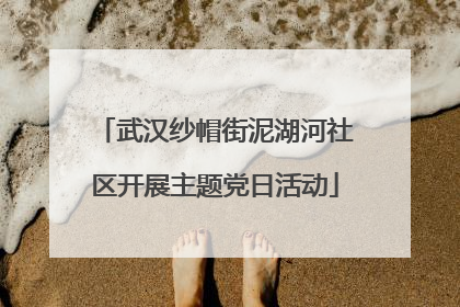 武汉纱帽街泥湖河社区开展主题党日活动