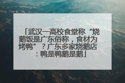 武汉一高校食堂称“烧鹅饭是广东俗称，食材为烤鸭”？广东多家烧鹅店：鸭是鸭鹅是鹅