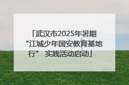 武汉市2025年暑期“江城少年国安教育基地行” 实践活动启动