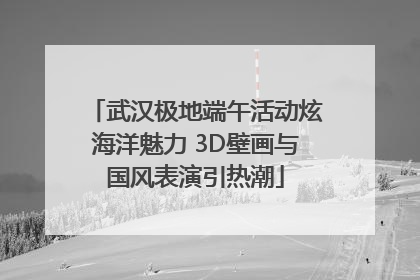 武汉极地端午活动炫海洋魅力 3D壁画与国风表演引热潮