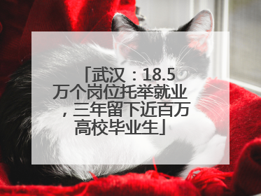 武汉：18.5万个岗位托举就业，三年留下近百万高校毕业生