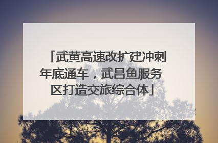 武黄高速改扩建冲刺年底通车，武昌鱼服务区打造交旅综合体