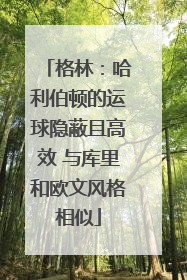 格林：哈利伯顿的运球隐蔽且高效 与库里和欧文风格相似
