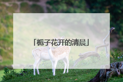 栀子花开的清晨