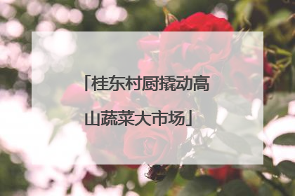 桂东村厨撬动高山蔬菜大市场
