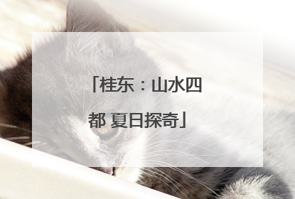 桂东：山水四都 夏日探奇