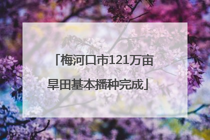 梅河口市121万亩旱田基本播种完成