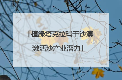 植绿塔克拉玛干沙漠 激活沙产业潜力