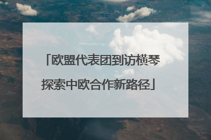 欧盟代表团到访横琴 探索中欧合作新路径