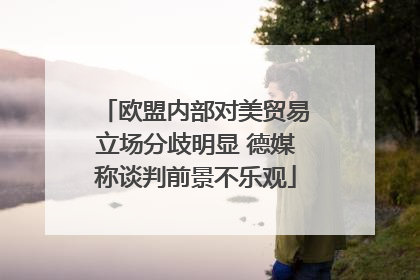 欧盟内部对美贸易立场分歧明显 德媒称谈判前景不乐观