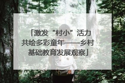 激发“村小”活力 共绘多彩童年——乡村基础教育发展观察